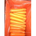 2015 New Crop Fresh Chinese Carrot (S grade)